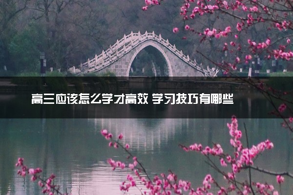 高三应该怎么学才高效 学习技巧有哪些