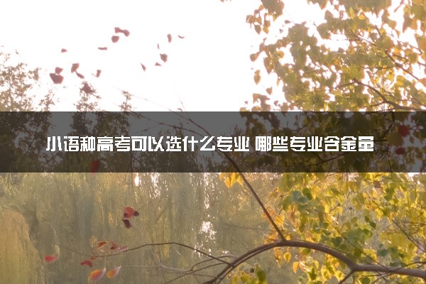 小语种高考可以选什么专业 哪些专业含金量高