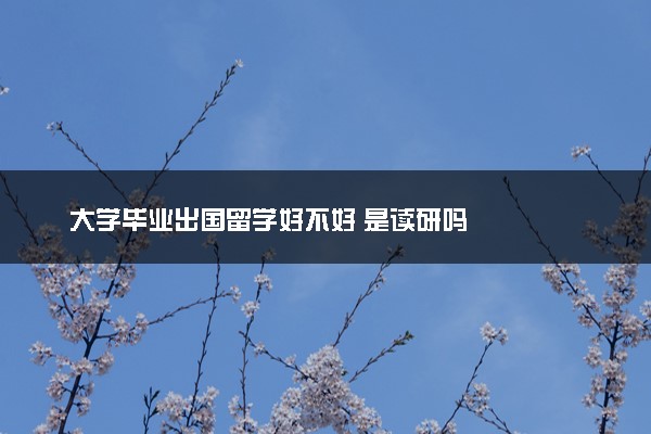大学毕业出国留学好不好 是读研吗