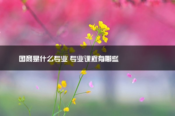 国商是什么专业 专业课程有哪些