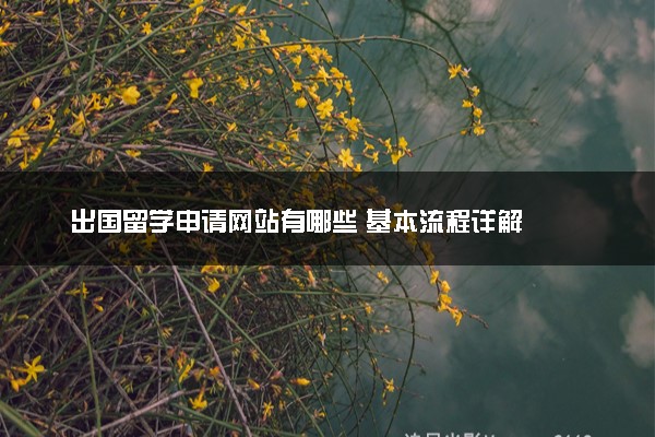 出国留学申请网站有哪些 基本流程详解