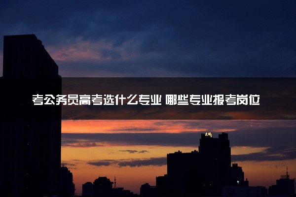 考公务员高考选什么专业 哪些专业报考岗位多