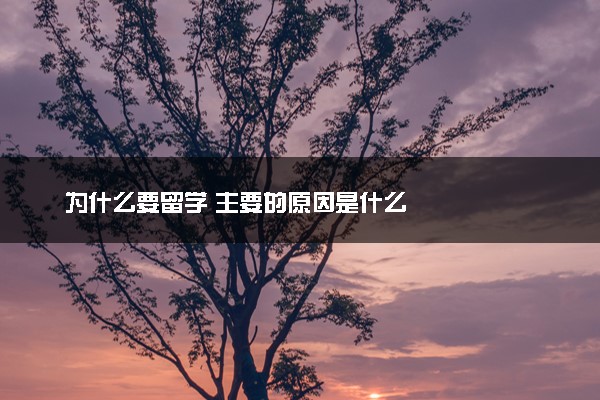 为什么要留学 主要的原因是什么