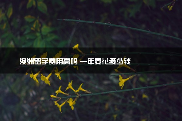 澳洲留学费用高吗 一年要花多少钱