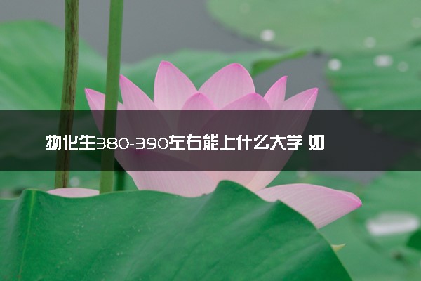 物化生380-390左右能上什么大学 如何报志愿