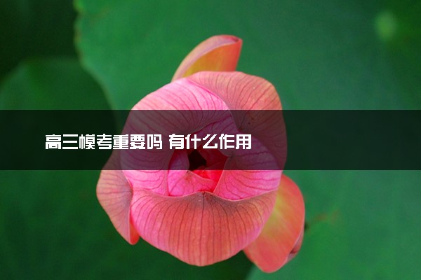 高三模考重要吗 有什么作用
