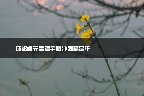 成都卓元高考全科冲刺精品班