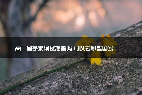 高二留学来得及准备吗 可以去哪些国家