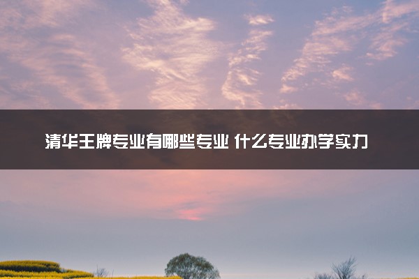 清华王牌专业有哪些专业 什么专业办学实力顶尖