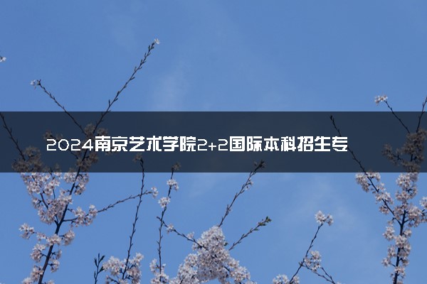 2024南京艺术学院2+2国际本科招生专业和人数