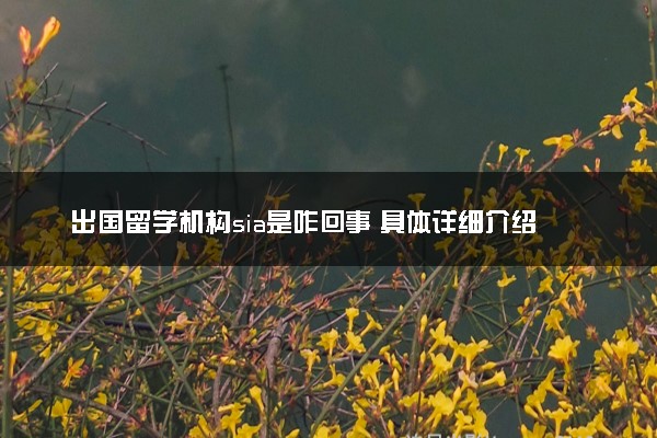 出国留学机构sia是咋回事 具体详细介绍