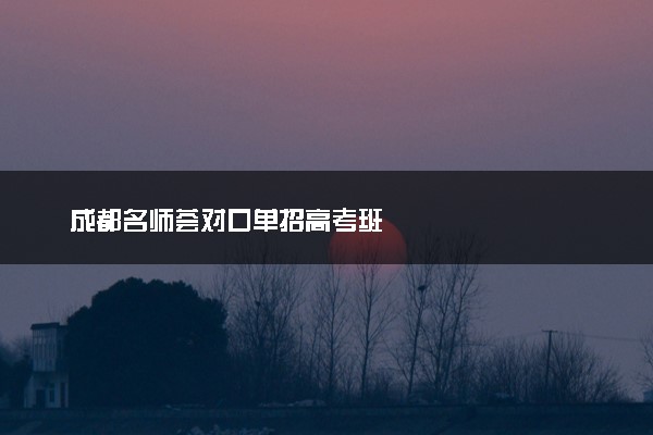 成都名师荟对口单招高考班