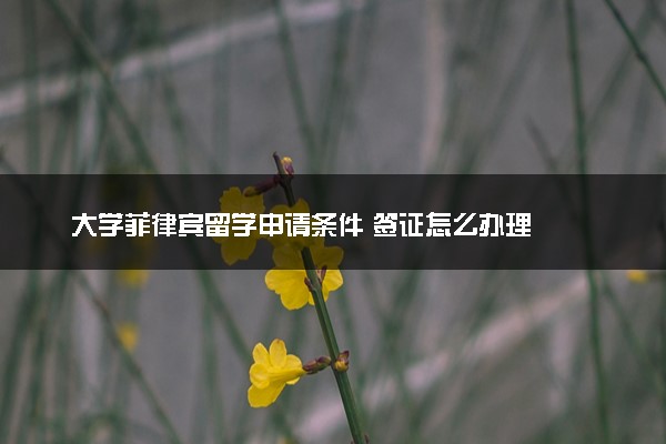 大学菲律宾留学申请条件 签证怎么办理