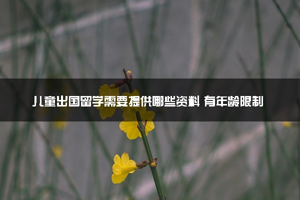 儿童出国留学需要提供哪些资料 有年龄限制吗