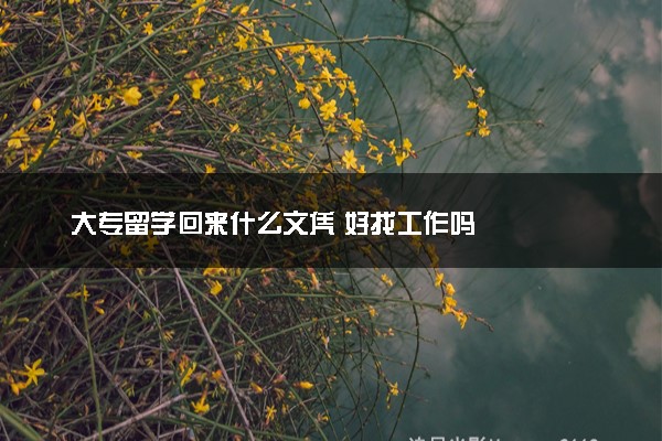 大专留学回来什么文凭 好找工作吗