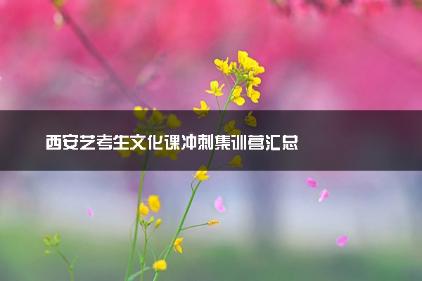 西安艺考生文化课冲刺集训营汇总