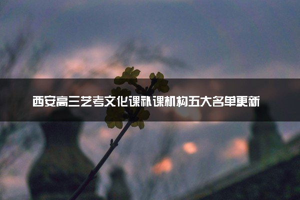 西安高三艺考文化课补课机构五大名单更新