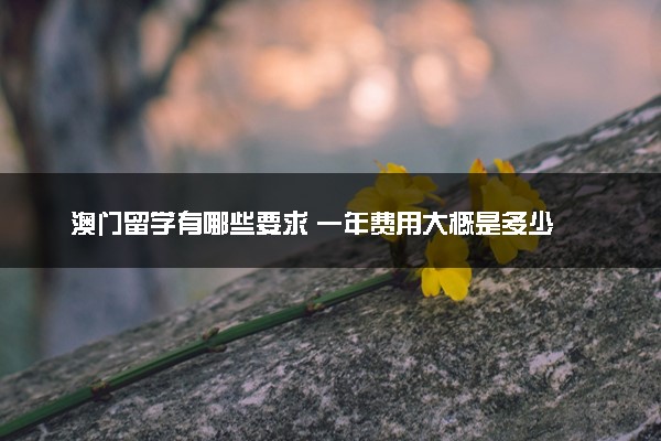 澳门留学有哪些要求 一年费用大概是多少