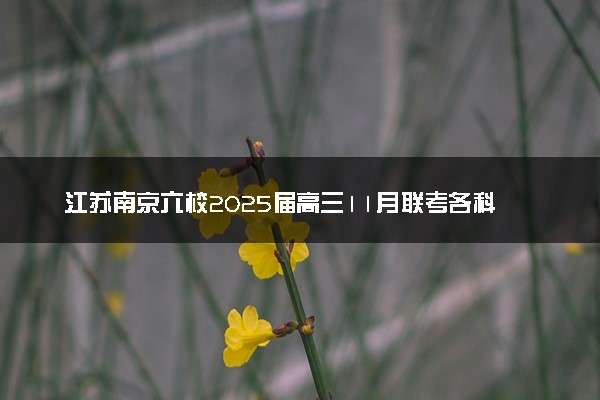 江苏南京六校2025届高三11月联考各科试题及答案汇总