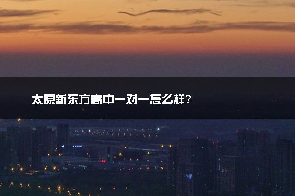 太原新东方高中一对一怎么样？