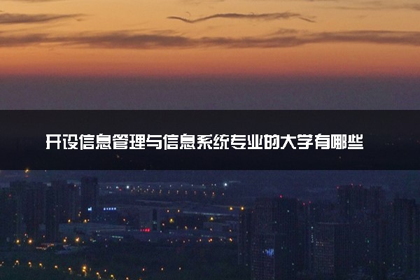 开设信息管理与信息系统专业的大学有哪些 什么院校实力强