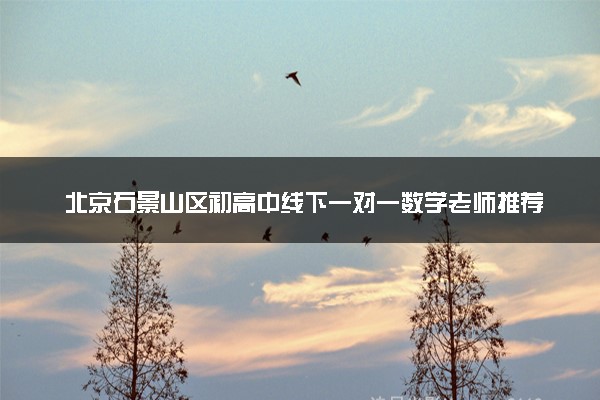 北京石景山区初高中线下一对一数学老师推荐