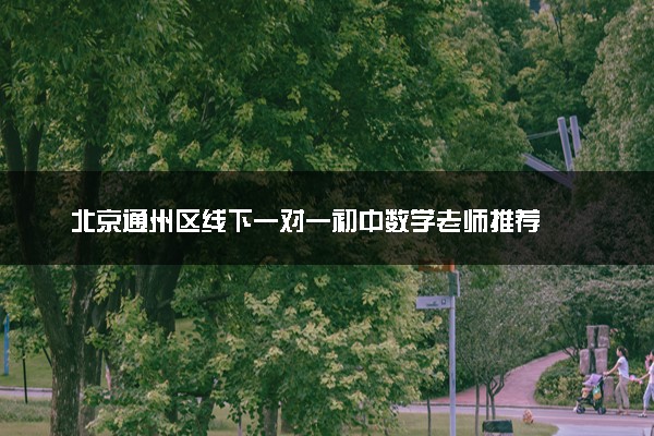 北京通州区线下一对一初中数学老师推荐