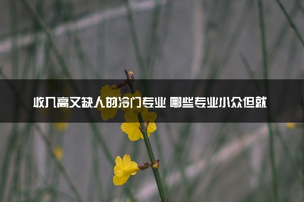 收入高又缺人的冷门专业 哪些专业小众但就业率高