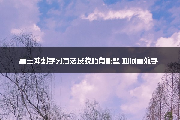 高三冲刺学习方法及技巧有哪些 如何高效学习