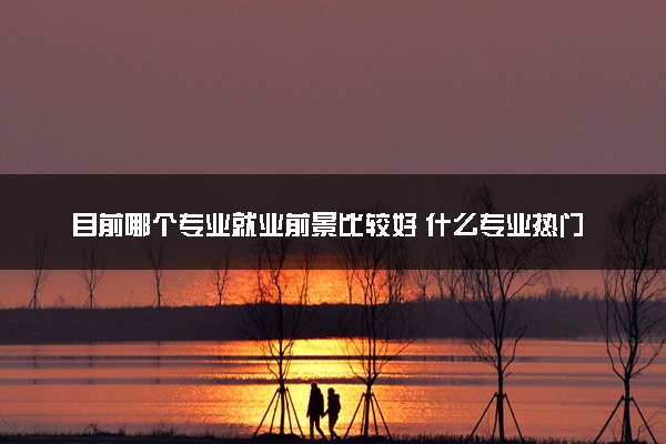 目前哪个专业就业前景比较好 什么专业热门吃香