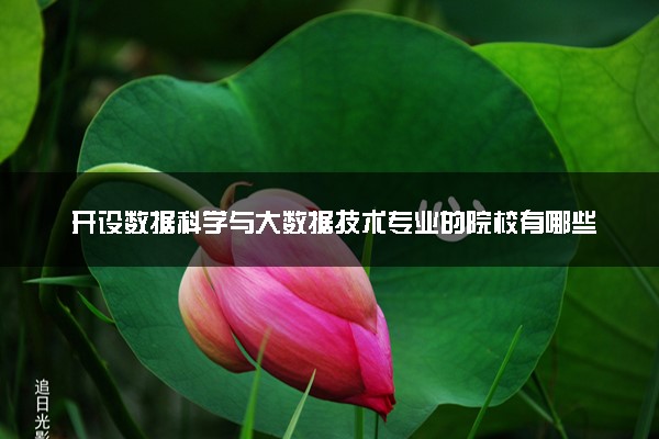 开设数据科学与大数据技术专业的院校有哪些 最新名单整理