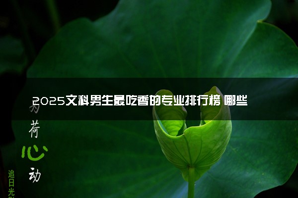 2025文科男生最吃香的专业排行榜 哪些专业收入高