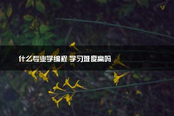 什么专业学编程 学习难度高吗