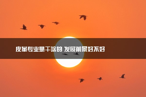皮革专业是干啥的 发展前景好不好
