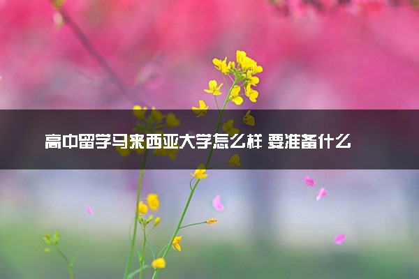 高中留学马来西亚大学怎么样 要准备什么