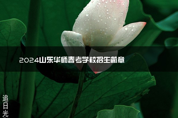 2024山东华师春考学校招生简章