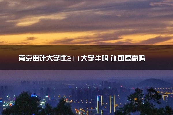 南京审计大学比211大学牛吗 认可度高吗