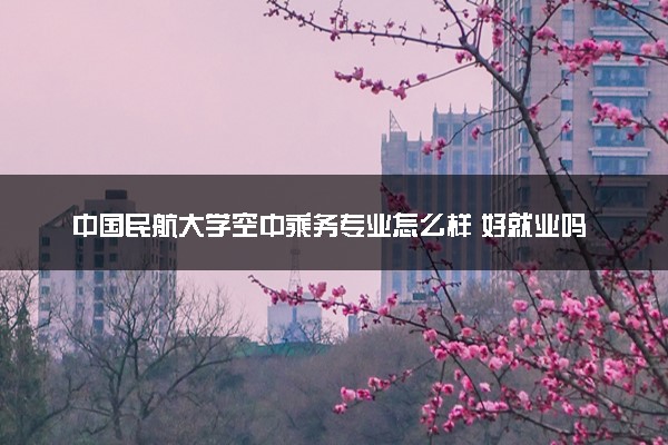 中国民航大学空中乘务专业怎么样 好就业吗