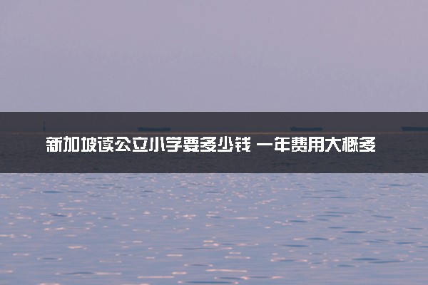 新加坡读公立小学要多少钱 一年费用大概多少