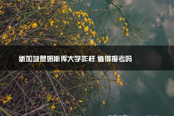 新加坡詹姆斯库大学咋样 值得报考吗