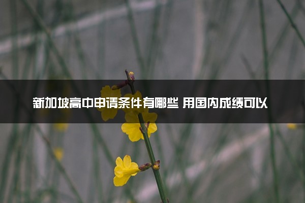 新加坡高中申请条件有哪些 用国内成绩可以吗