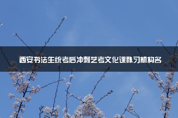 西安书法生统考后冲刺艺考文化课补习机构名单