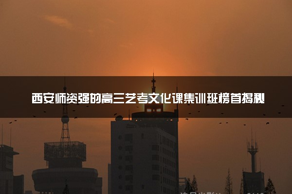 西安师资强的高三艺考文化课集训班榜首揭秘