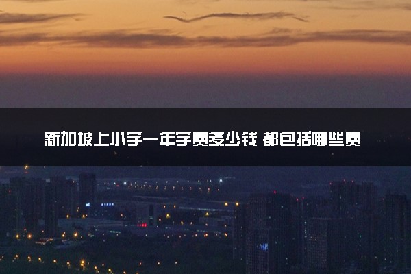 新加坡上小学一年学费多少钱 都包括哪些费用