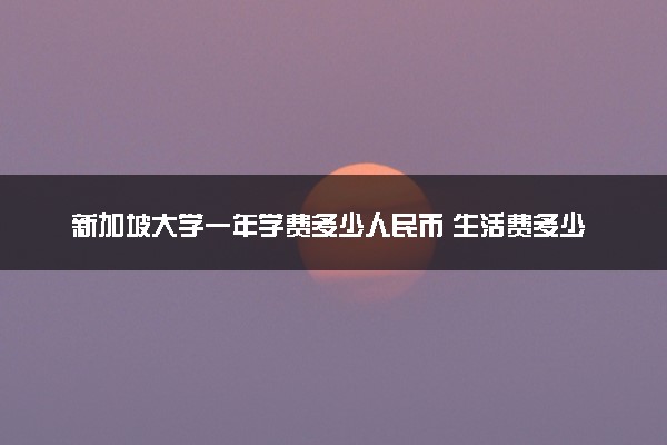 新加坡大学一年学费多少人民币 生活费多少钱够用