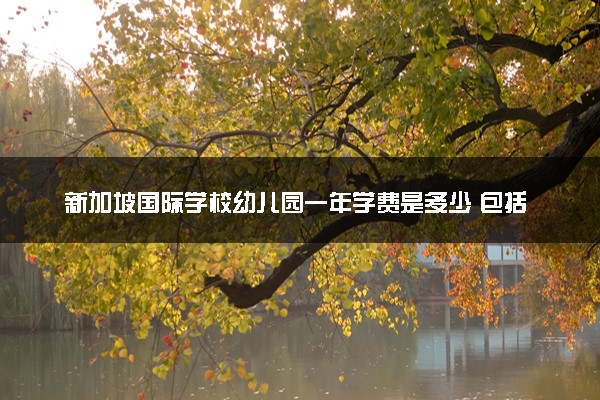 新加坡国际学校幼儿园一年学费是多少 包括哪些内容