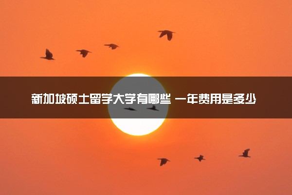 新加坡硕士留学大学有哪些 一年费用是多少