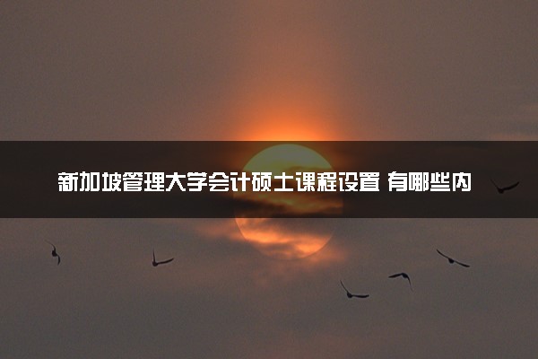 新加坡管理大学会计硕士课程设置 有哪些内容