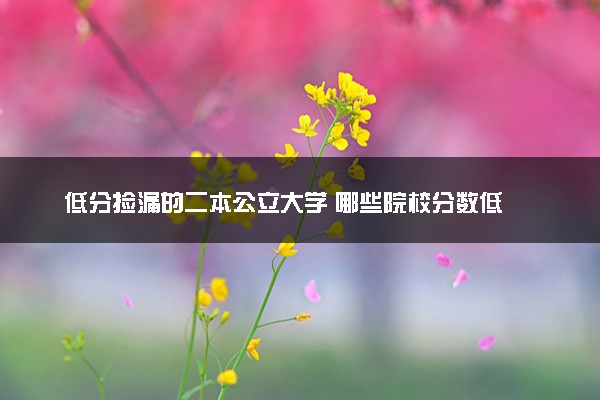 低分捡漏的二本公立大学 哪些院校分数低