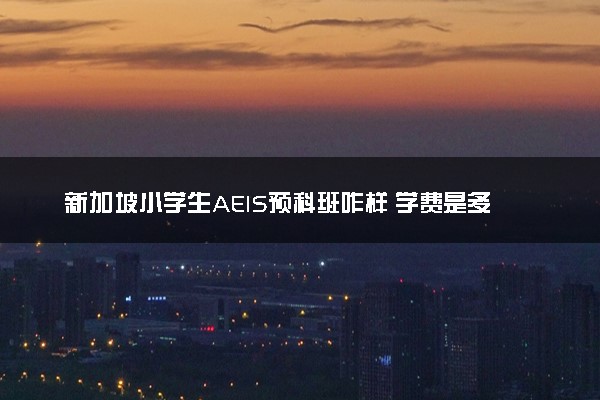 新加坡小学生AEIS预科班咋样 学费是多少
